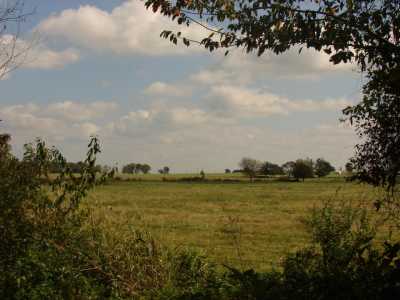 Residential Land For Sale in 