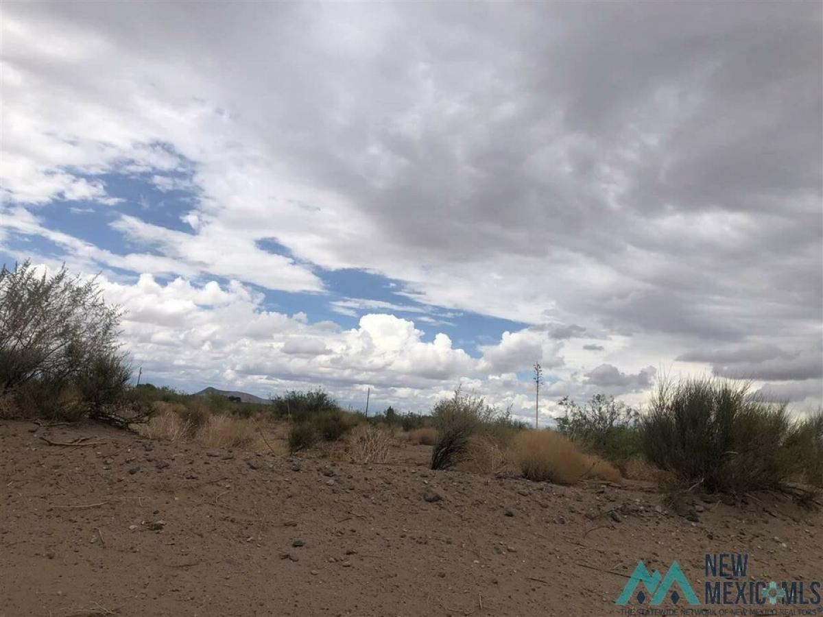 Picture of Residential Land For Sale in Deming, New Mexico, United States