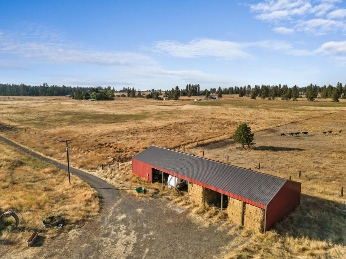 Picture of Residential Land For Sale in Cheney, Washington, United States