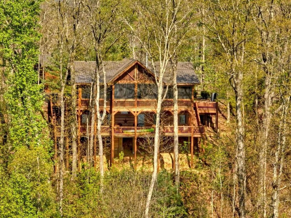 Picture of Home For Sale in Cherry Log, Georgia, United States