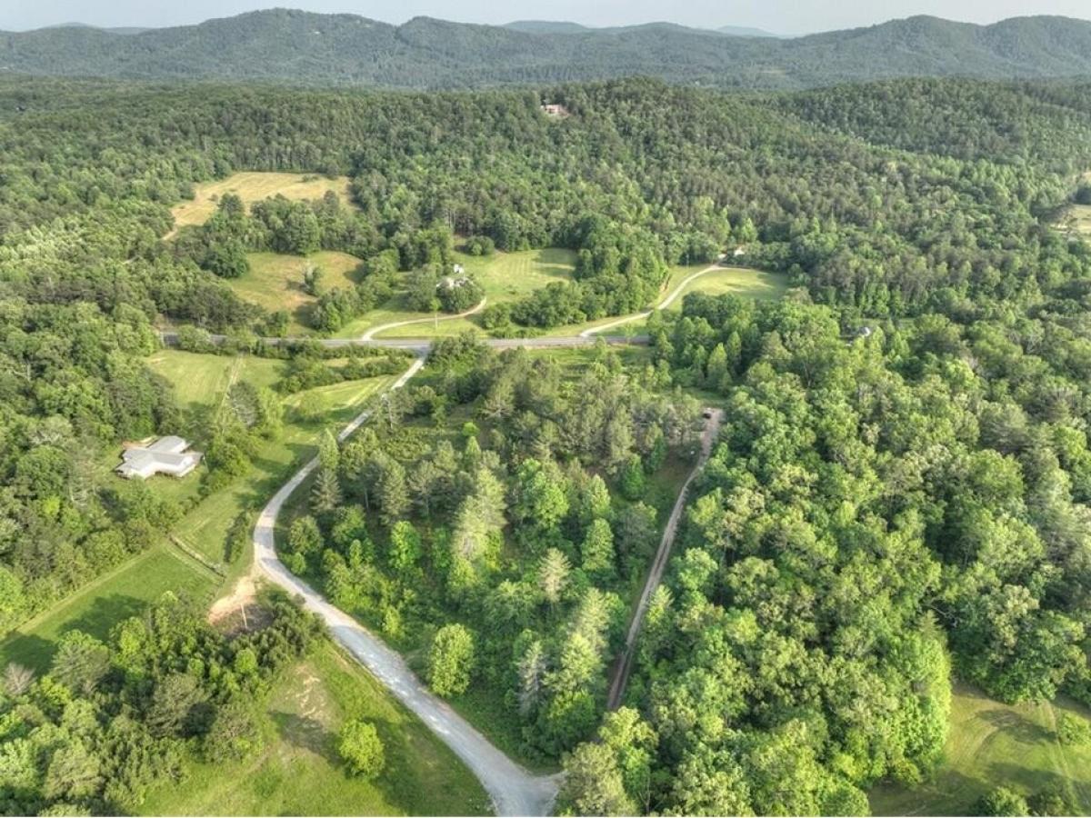 Picture of Residential Land For Sale in Mineral Bluff, Georgia, United States