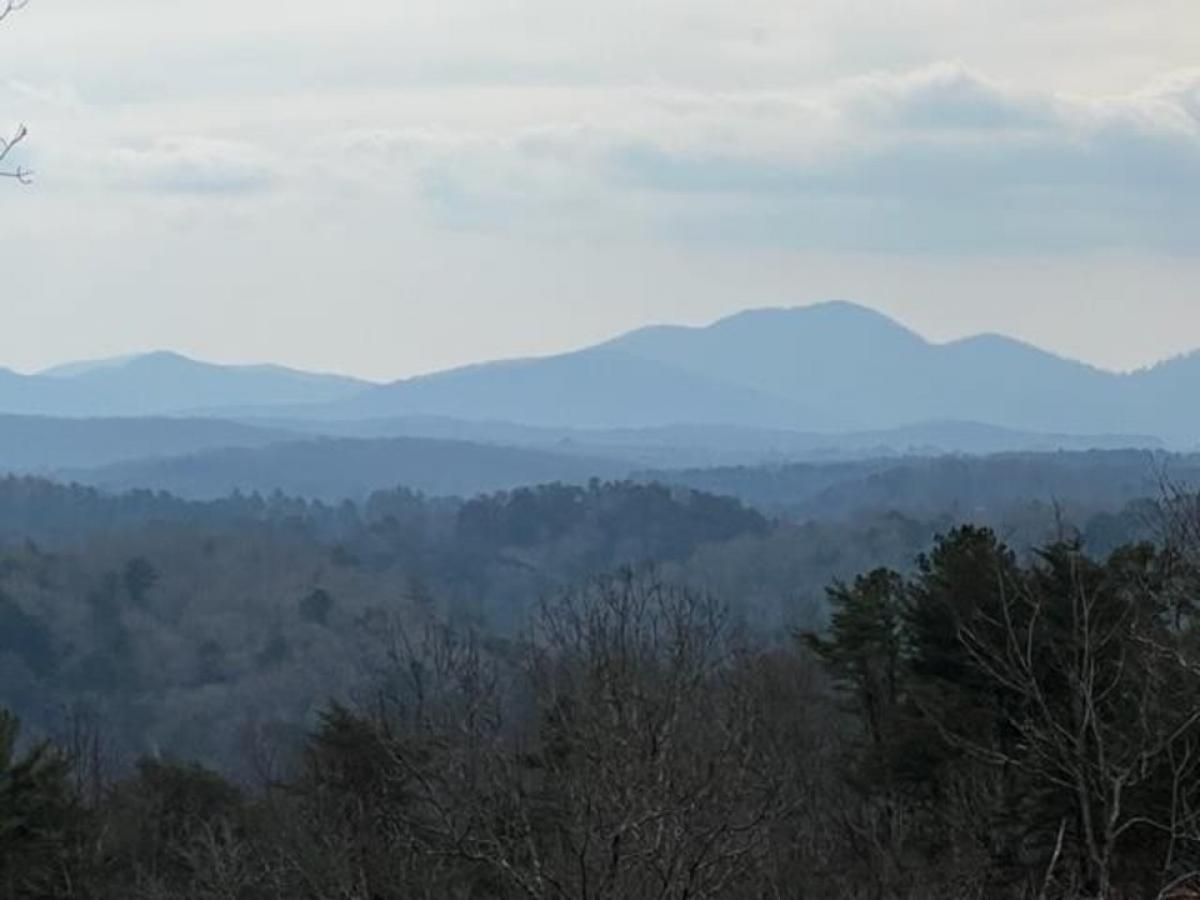 Picture of Residential Land For Sale in Mineral Bluff, Georgia, United States