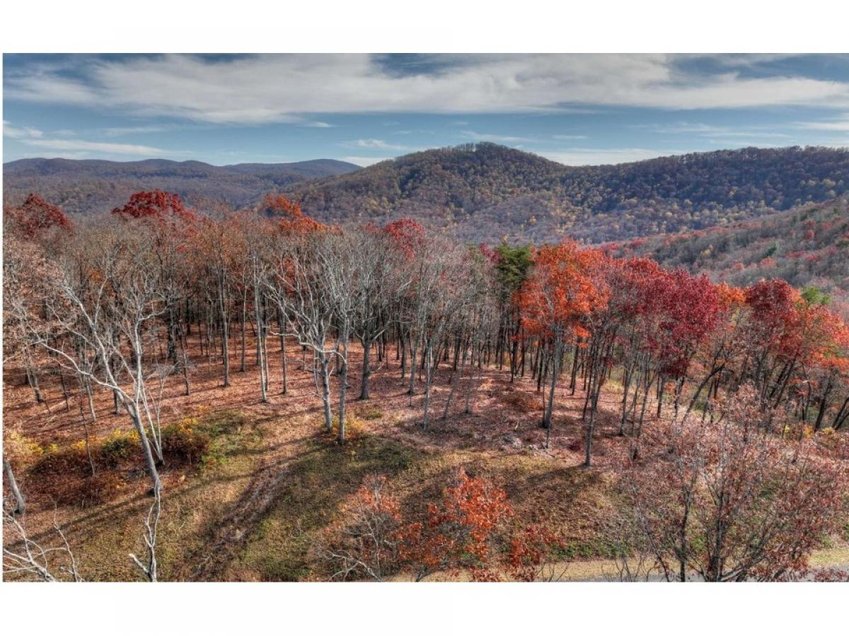 Picture of Residential Land For Sale in Talking Rock, Georgia, United States