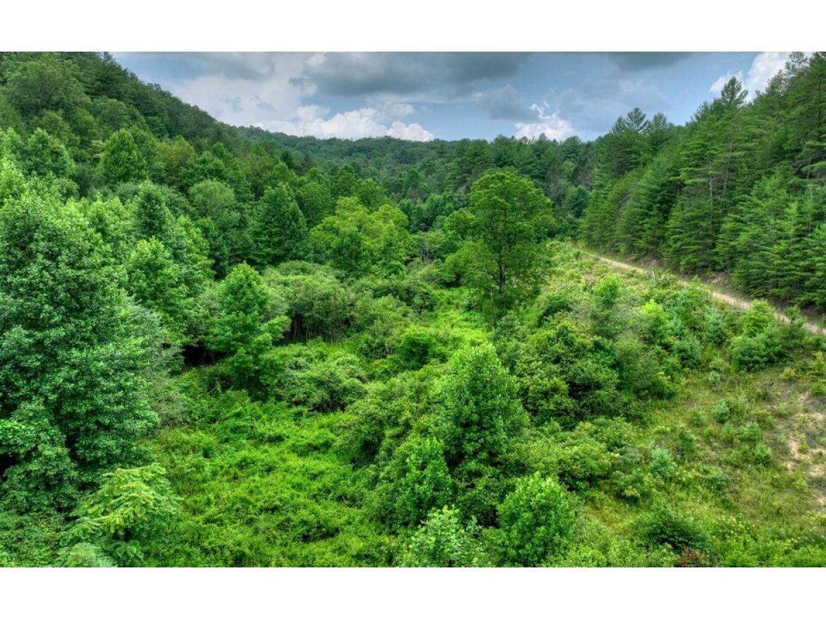 Picture of Residential Land For Sale in Mineral Bluff, Georgia, United States