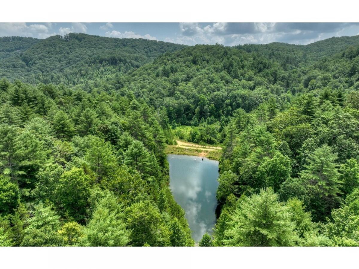 Picture of Residential Land For Sale in Mineral Bluff, Georgia, United States