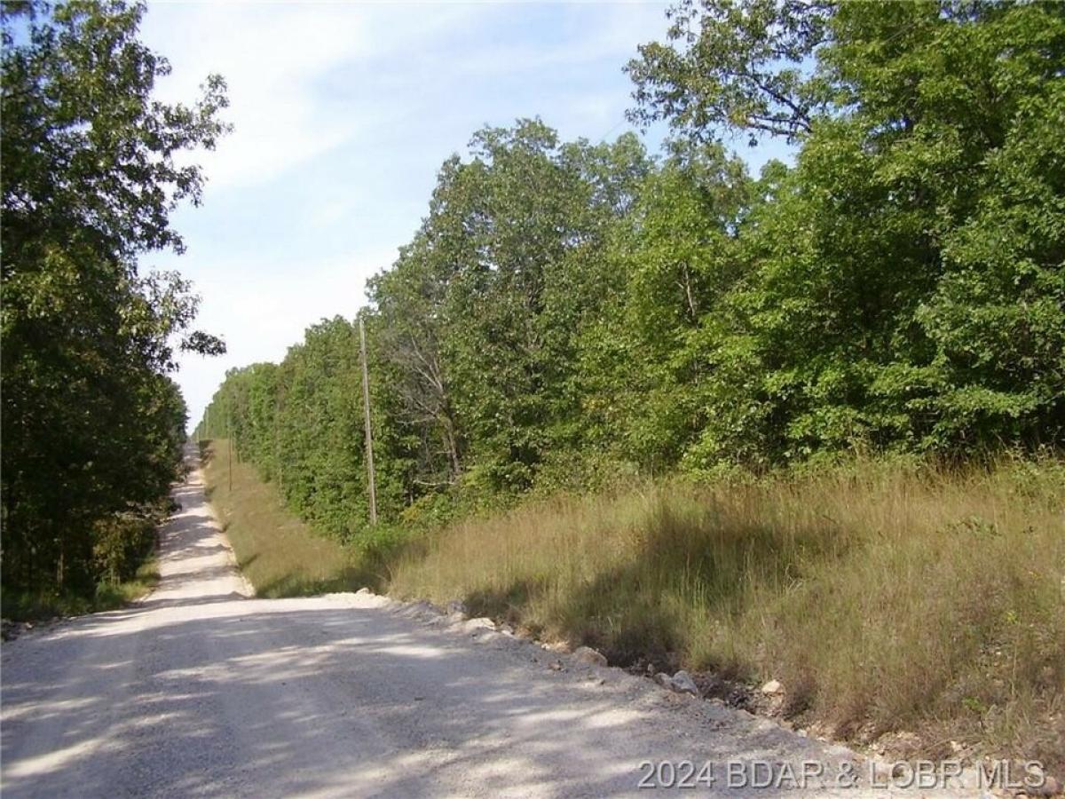 Picture of Residential Land For Sale in Macks Creek, Missouri, United States