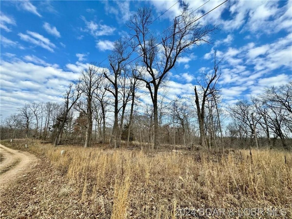 Picture of Residential Land For Sale in Stover, Missouri, United States