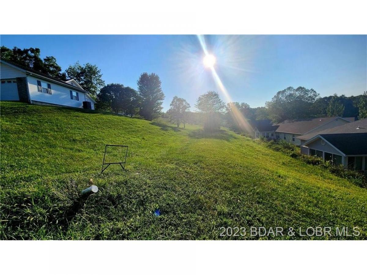 Picture of Residential Land For Sale in Gravois Mills, Missouri, United States