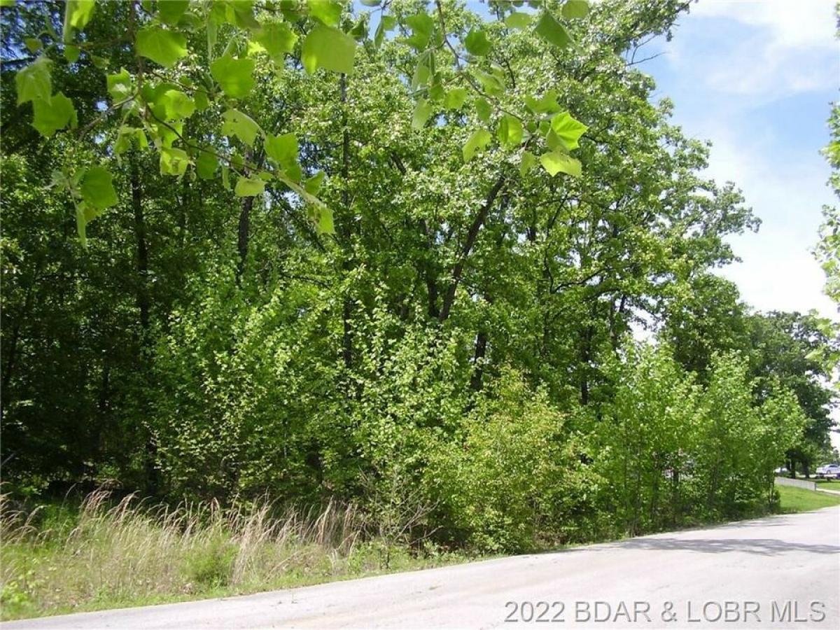 Picture of Residential Land For Sale in Camdenton, Missouri, United States