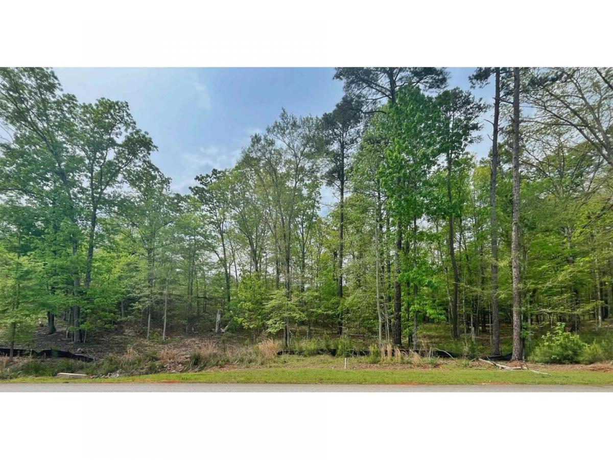 Picture of Residential Land For Sale in Greensboro, Georgia, United States