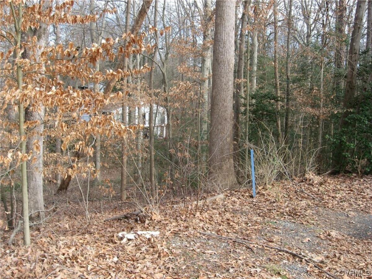 Picture of Residential Land For Sale in Quinton, Virginia, United States