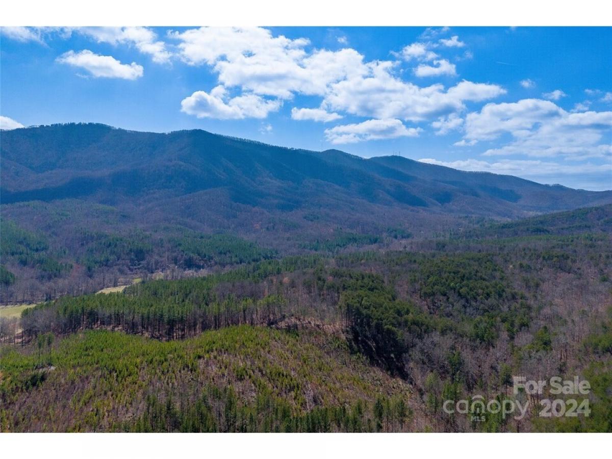 Picture of Residential Land For Sale in Mill Spring, North Carolina, United States