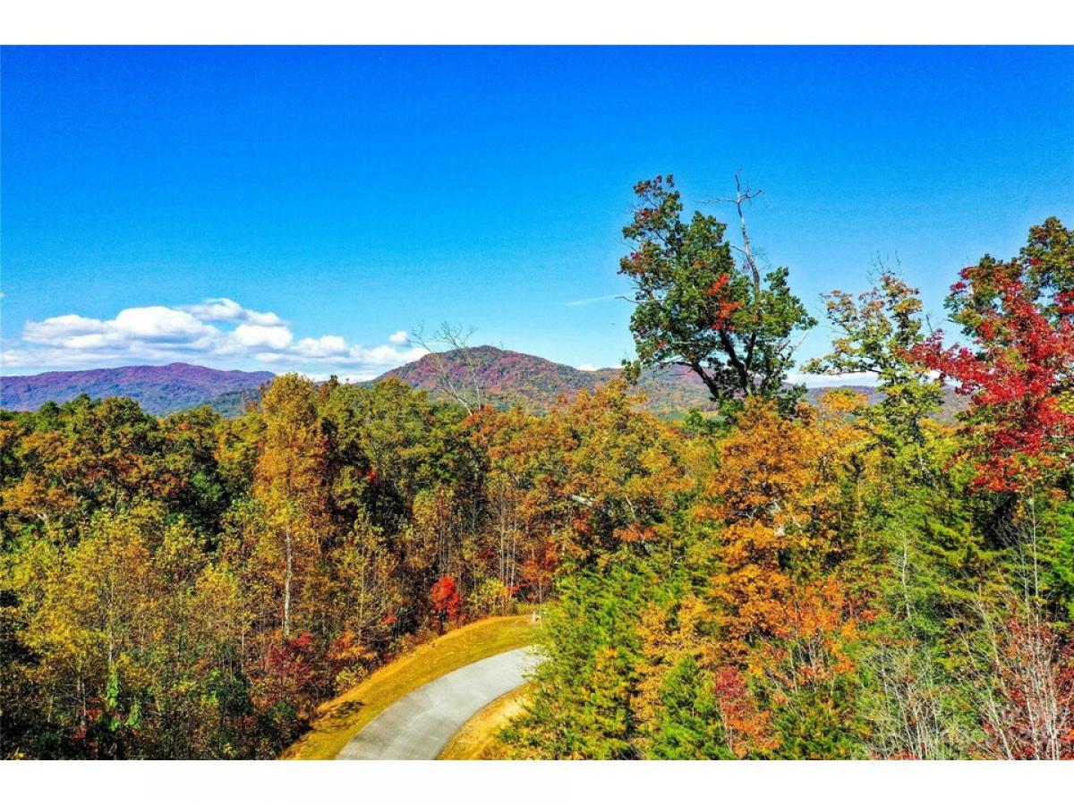 Picture of Residential Land For Sale in Lake Lure, North Carolina, United States