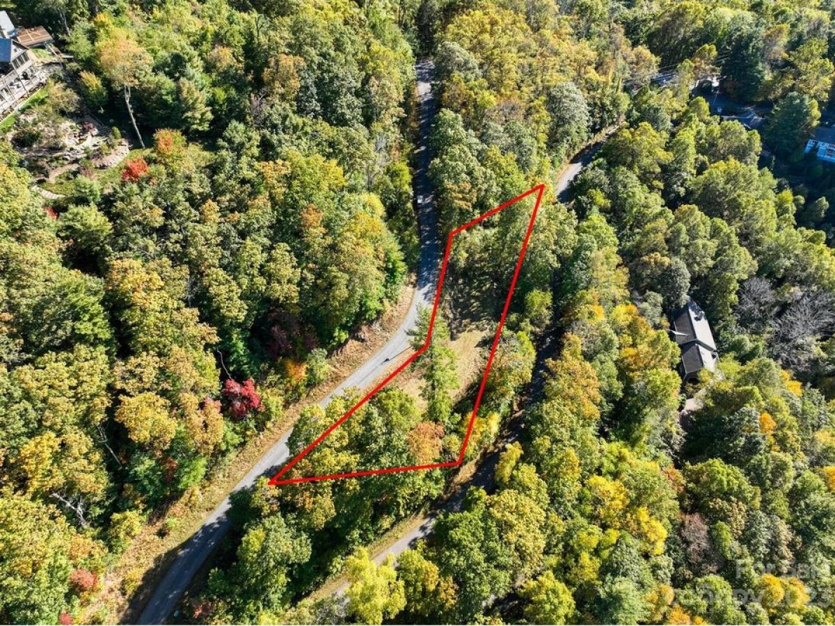 Picture of Residential Land For Sale in Asheville, North Carolina, United States