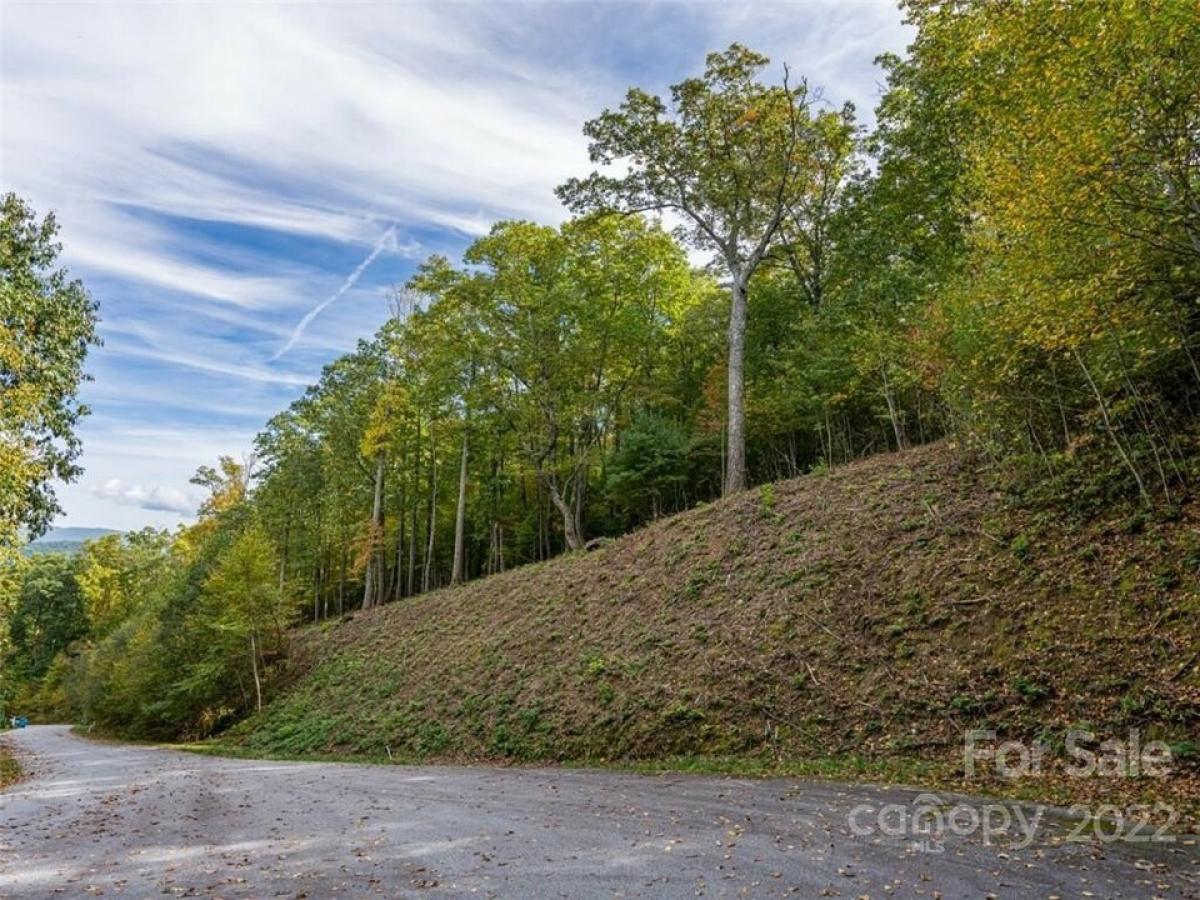 Picture of Residential Land For Sale in Asheville, North Carolina, United States