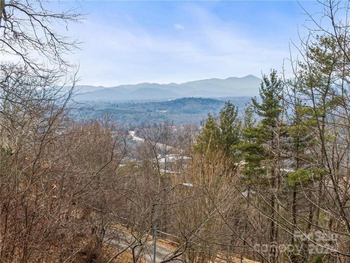 Picture of Residential Land For Sale in Asheville, North Carolina, United States