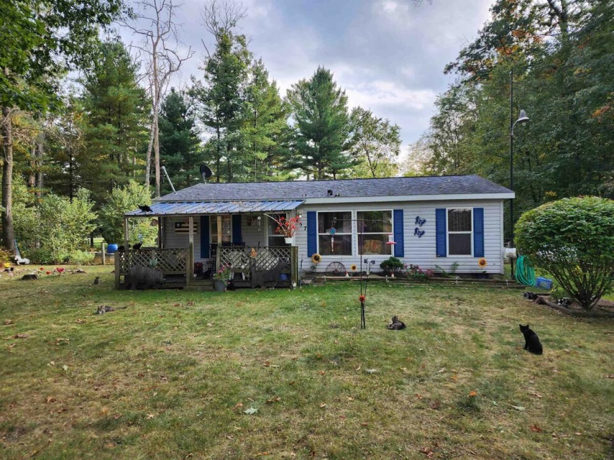 Picture of Home For Sale in Lake, Michigan, United States