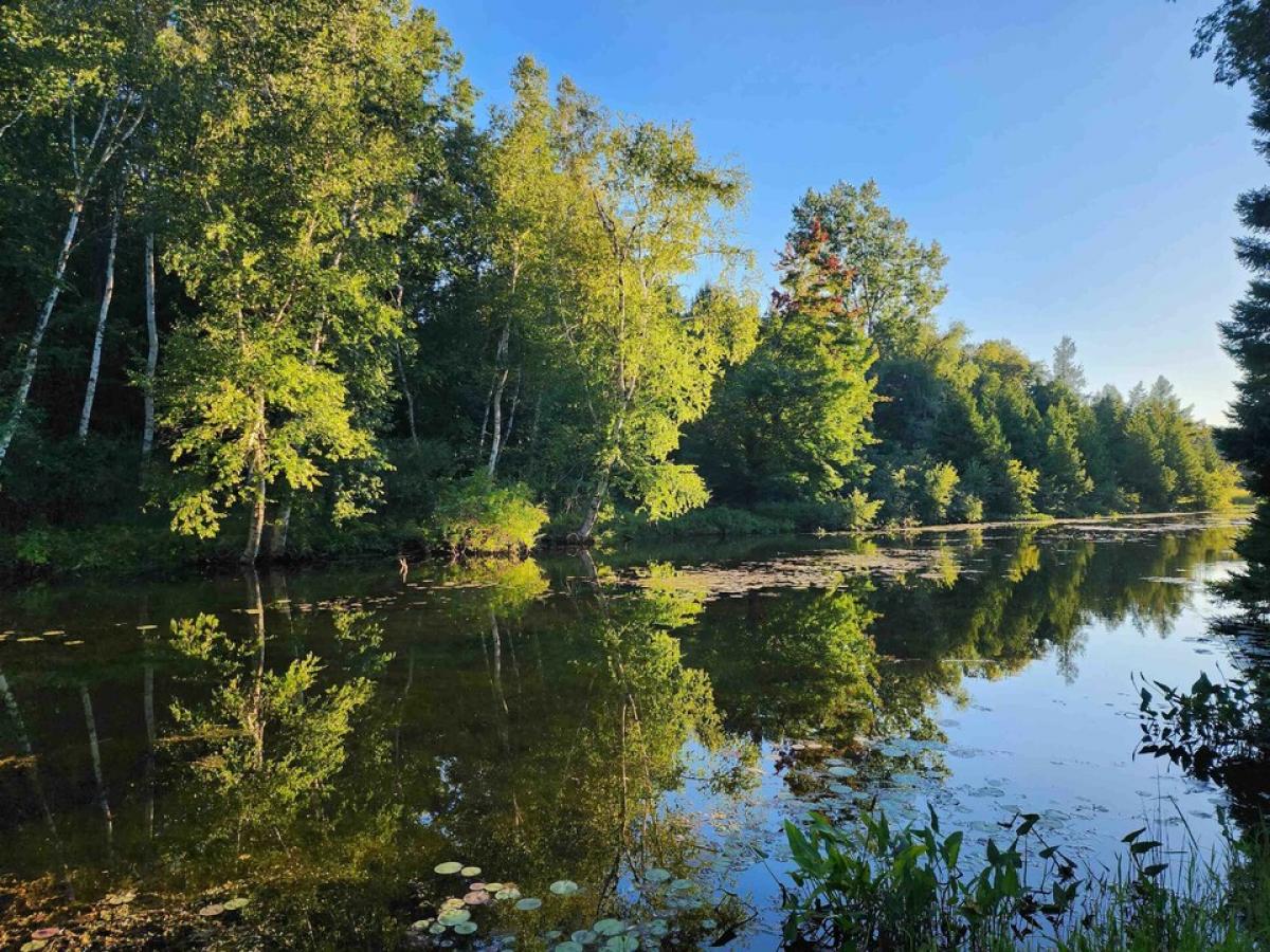 Picture of Residential Land For Sale in Lake, Michigan, United States