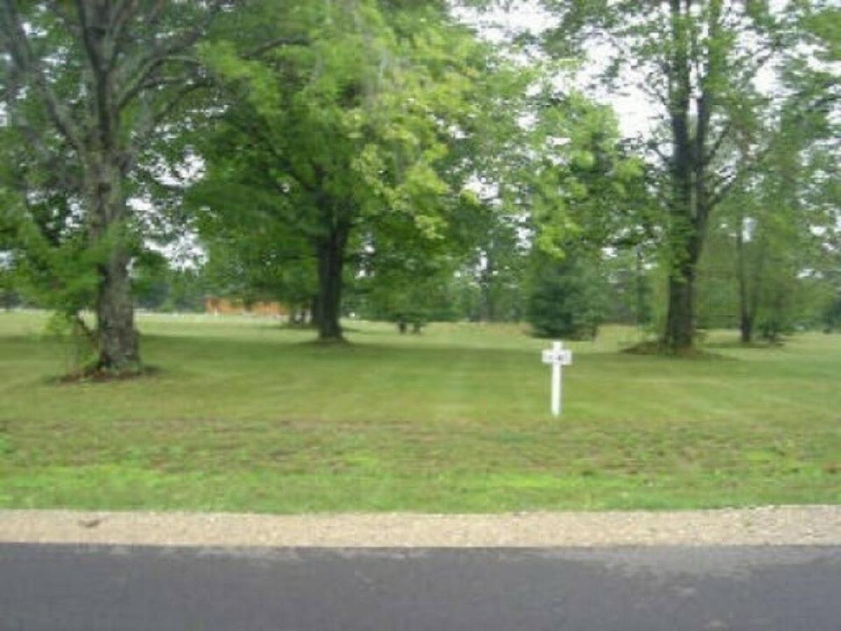 Picture of Residential Land For Sale in Harrison, Michigan, United States