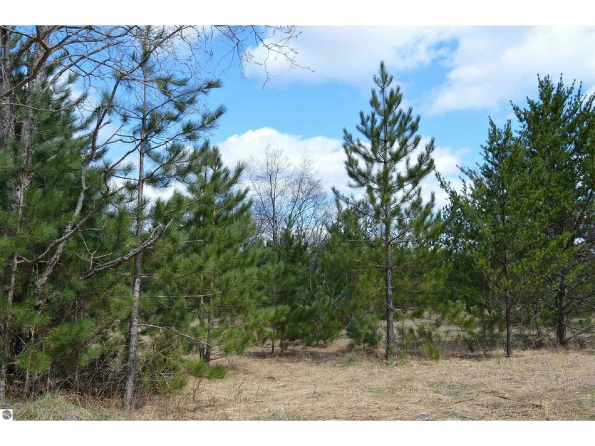 Picture of Residential Land For Sale in Kalkaska, Michigan, United States