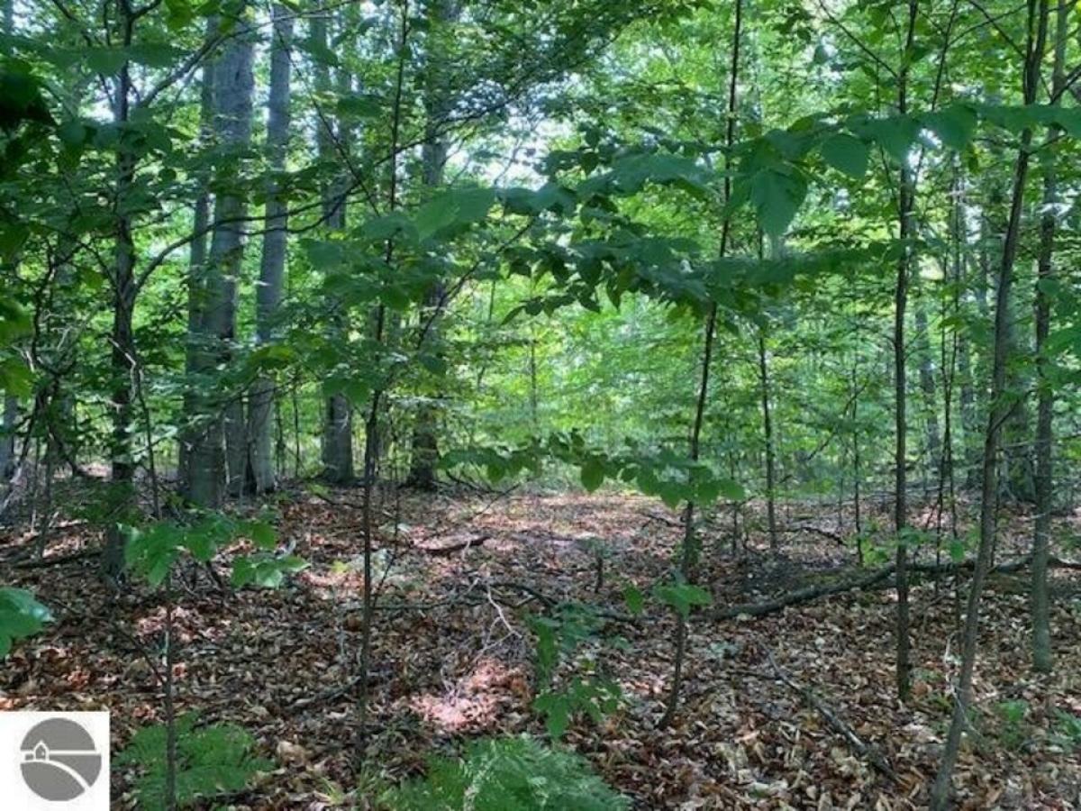 Picture of Residential Land For Sale in Kewadin, Michigan, United States