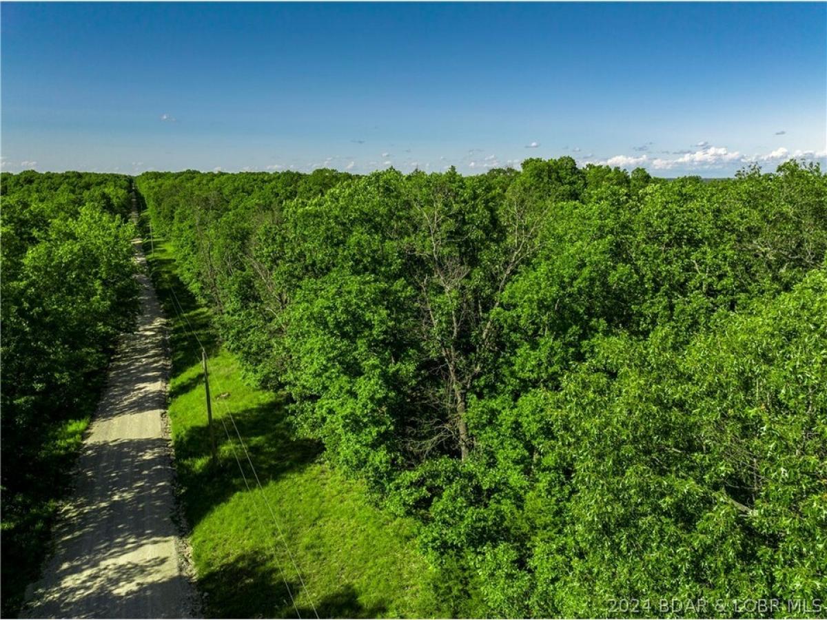 Picture of Residential Land For Sale in Macks Creek, Missouri, United States