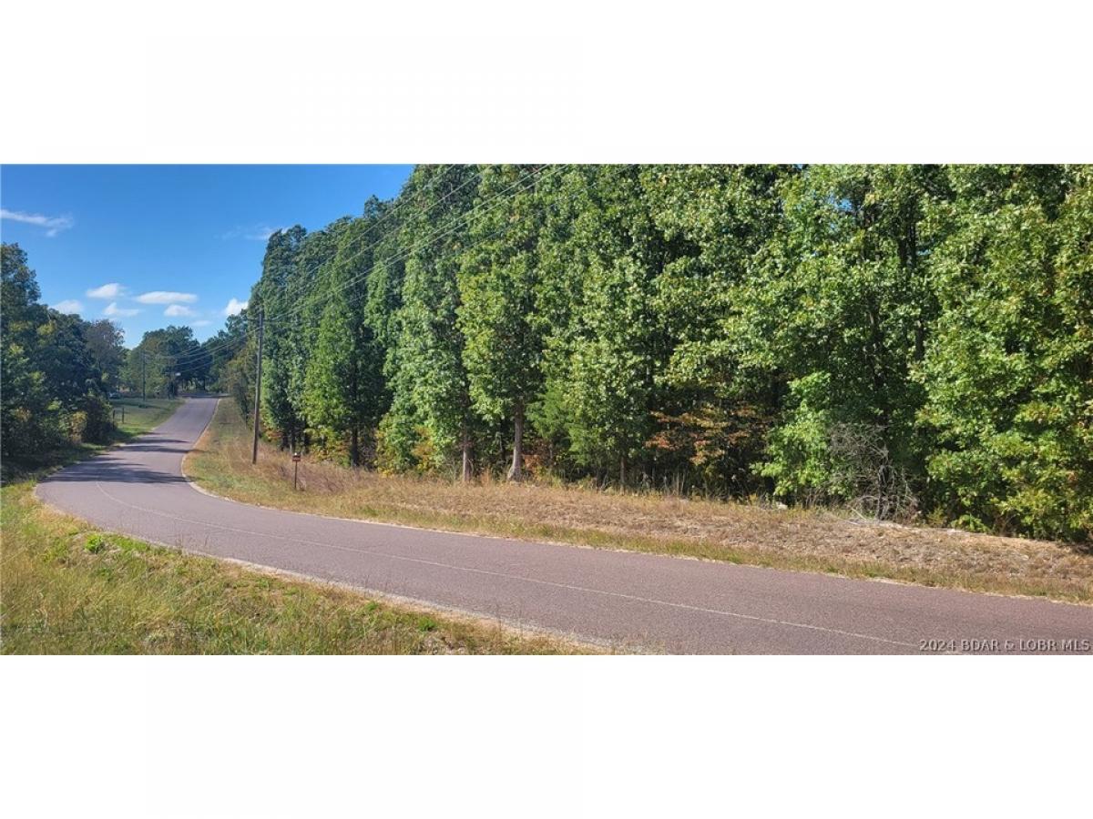 Picture of Residential Land For Sale in Gravois Mills, Missouri, United States