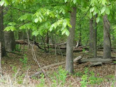 Residential Land For Sale in 