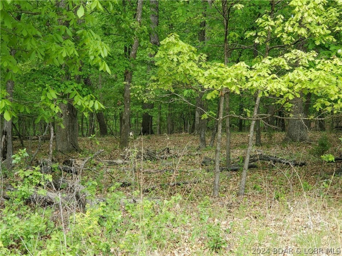 Picture of Residential Land For Sale in Four Seasons, Missouri, United States