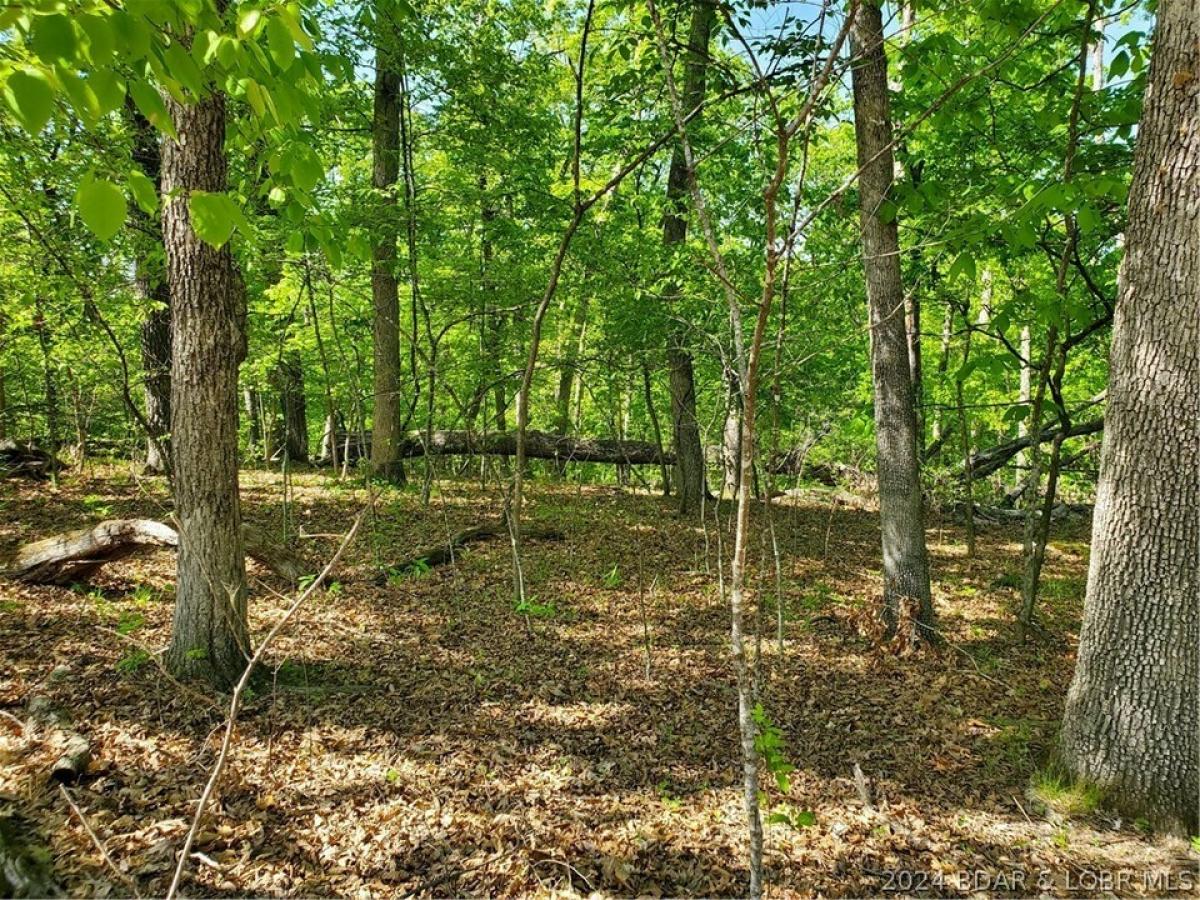 Picture of Residential Land For Sale in Four Seasons, Missouri, United States