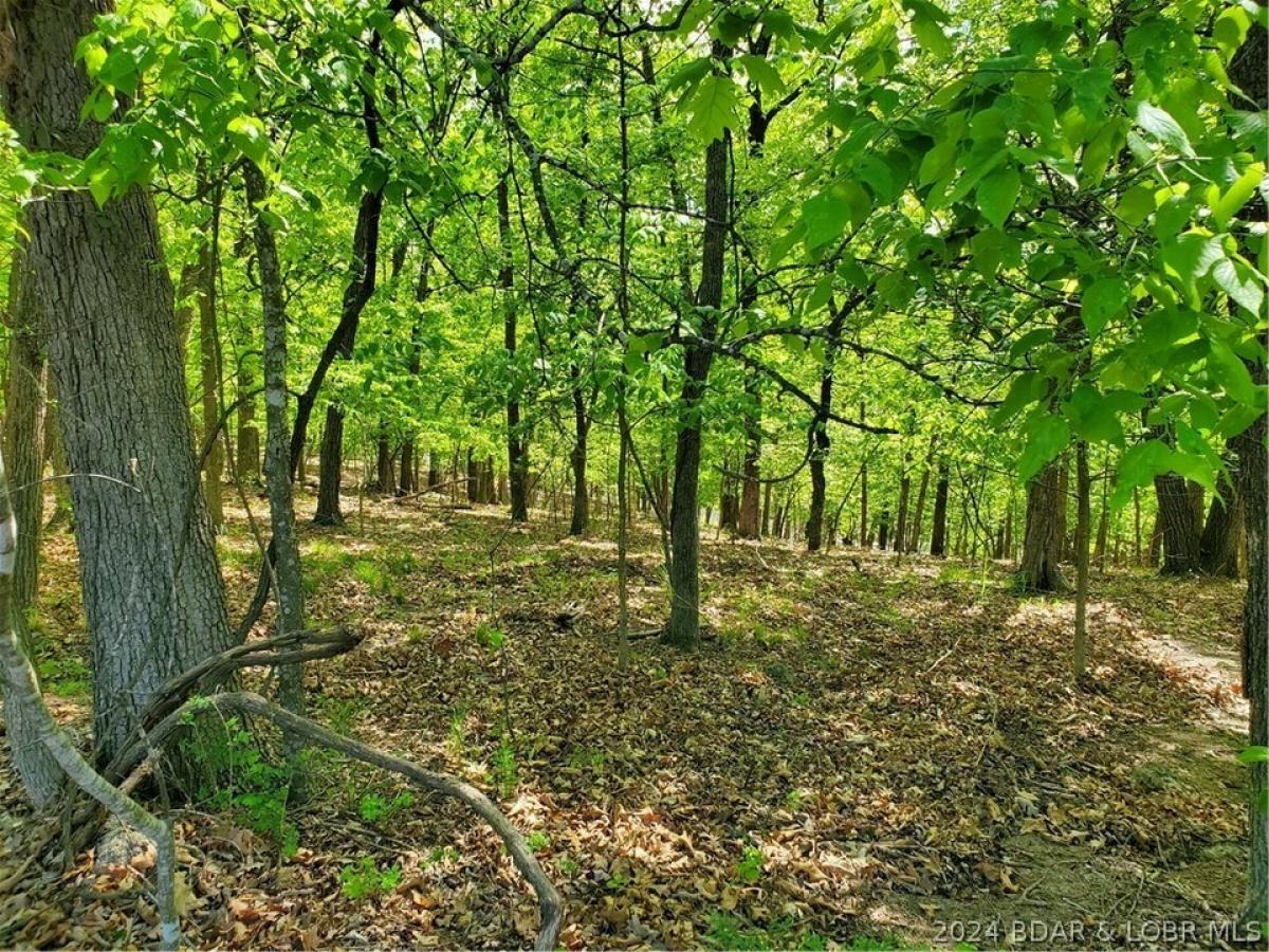 Picture of Residential Land For Sale in Four Seasons, Missouri, United States