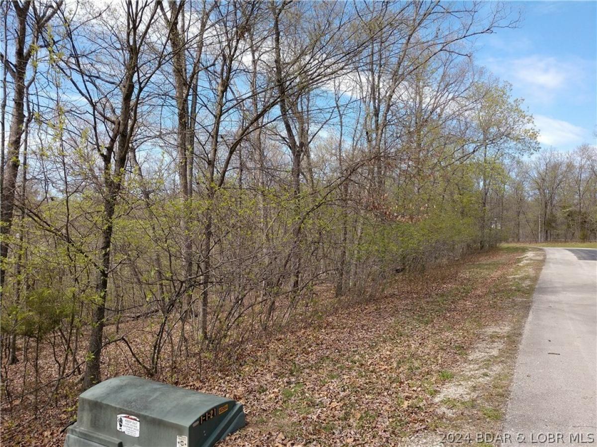 Picture of Residential Land For Sale in Villages, Missouri, United States