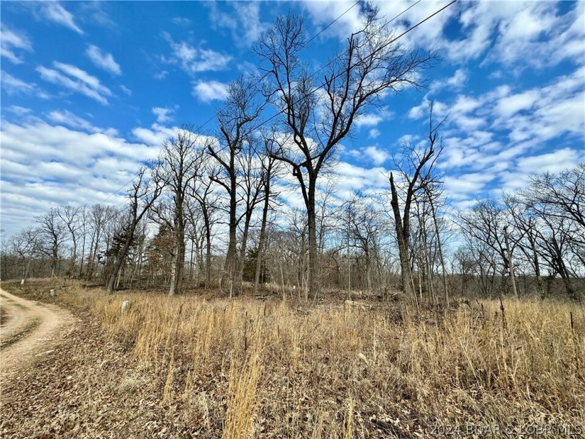 Picture of Residential Land For Sale in Stover, Missouri, United States