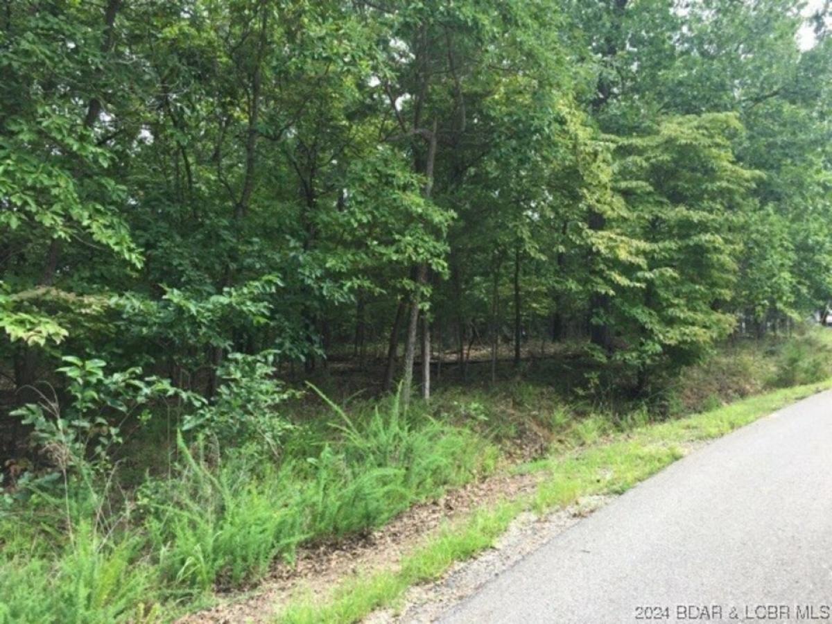 Picture of Residential Land For Sale in Camdenton, Missouri, United States