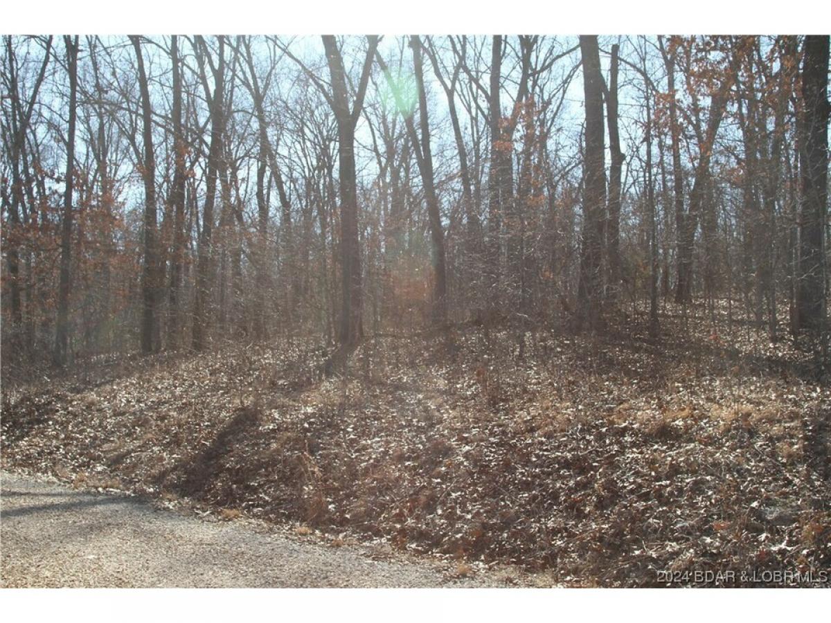 Picture of Residential Land For Sale in Edwards, Missouri, United States