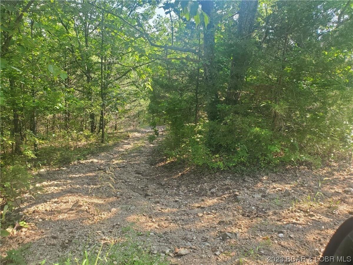 Picture of Residential Land For Sale in Warsaw, Missouri, United States