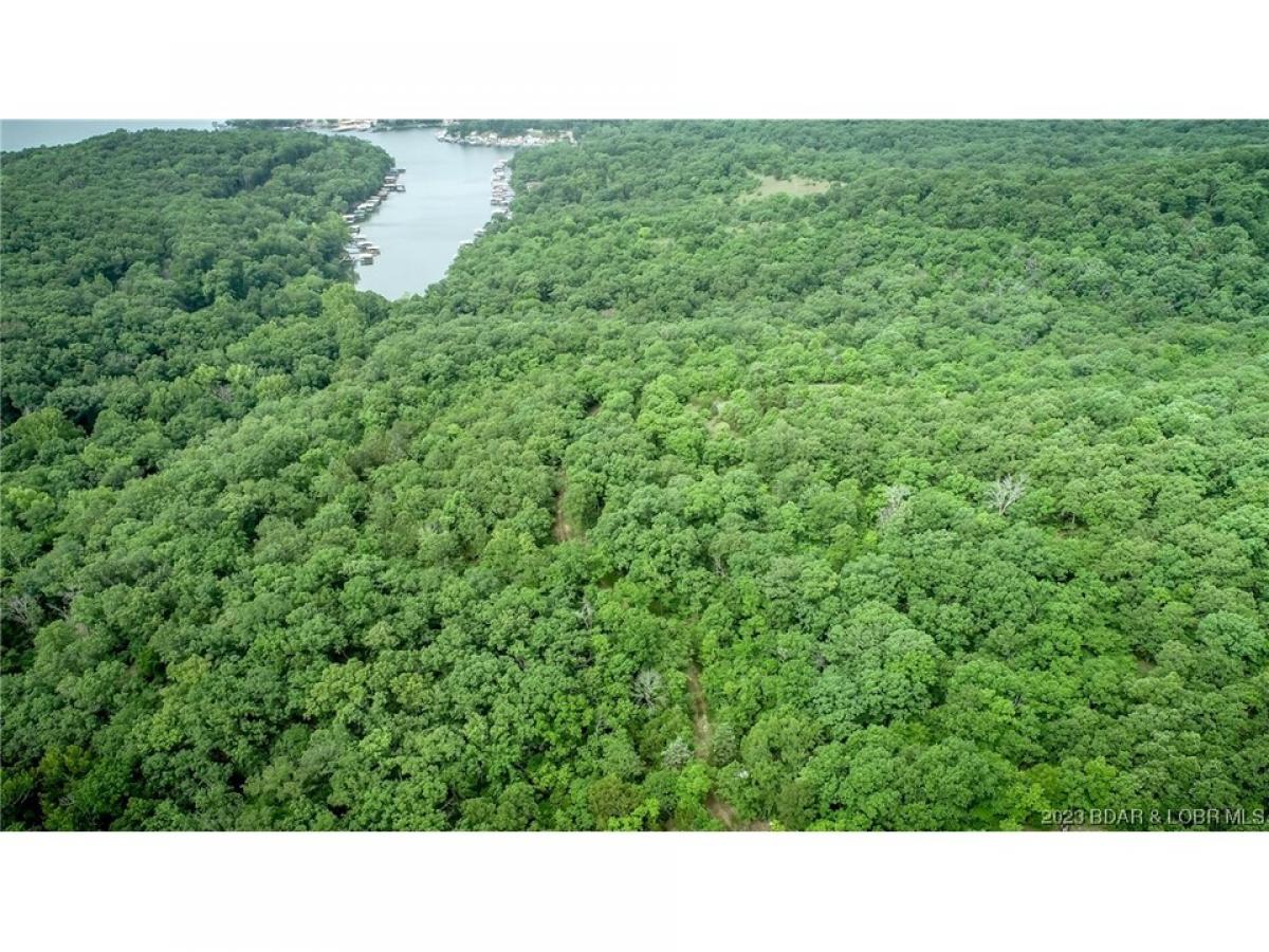 Picture of Residential Land For Sale in Gravois Mills, Missouri, United States