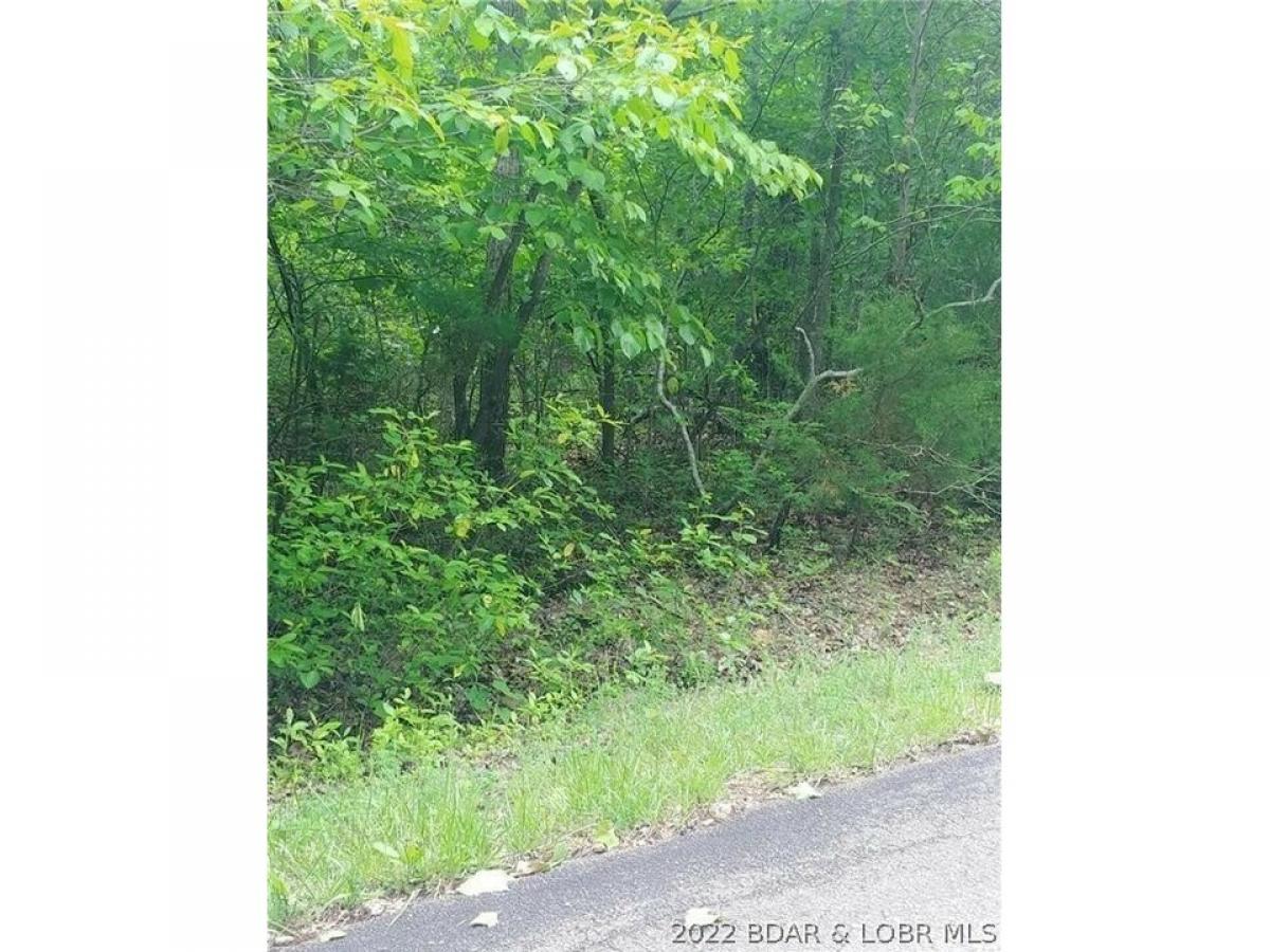 Picture of Residential Land For Sale in Sunrise Beach, Missouri, United States