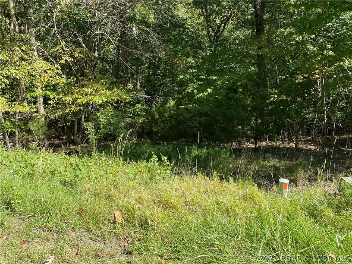 Picture of Residential Land For Sale in Sunrise Beach, Missouri, United States