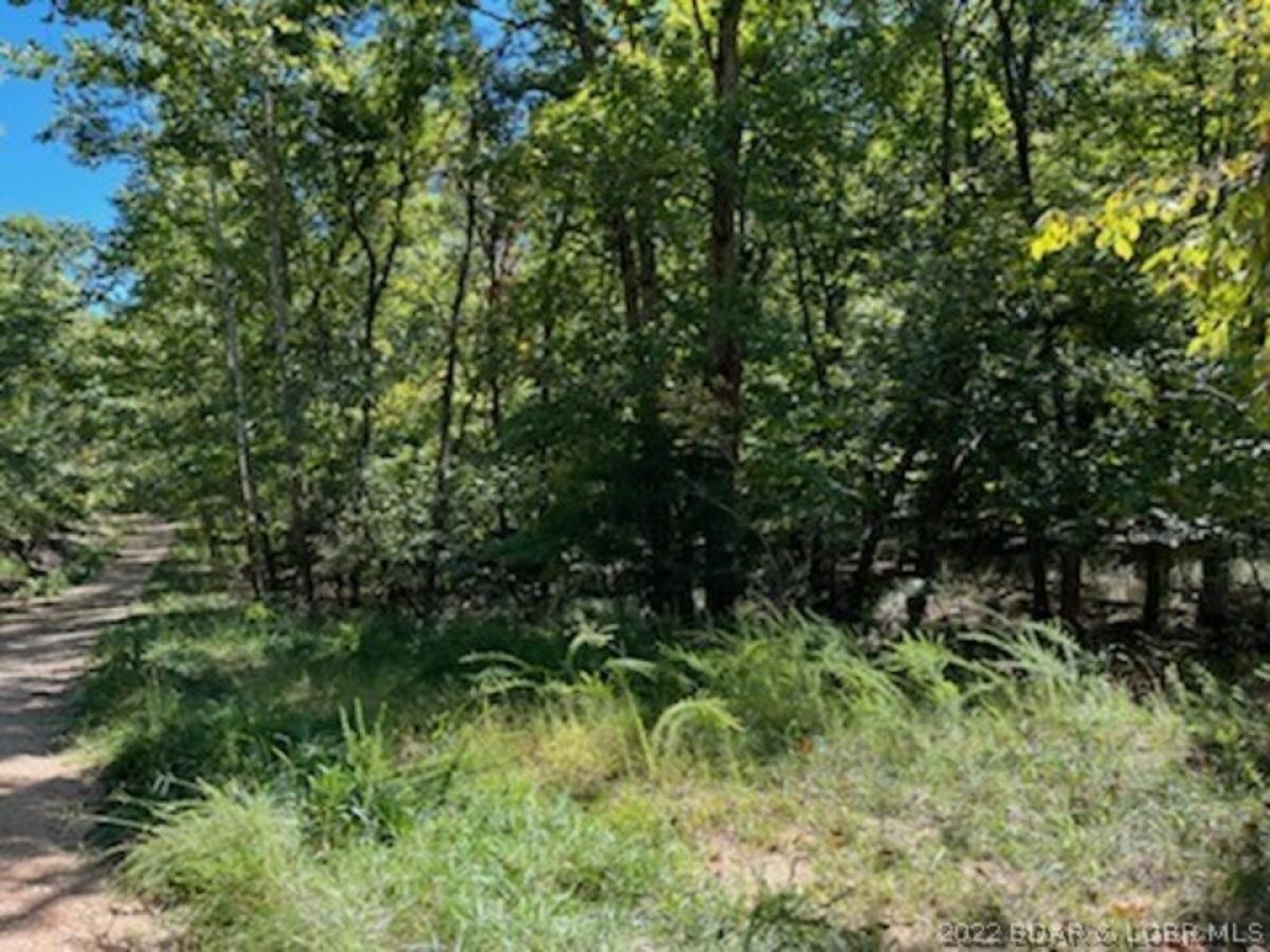 Picture of Residential Land For Sale in Four Seasons, Missouri, United States