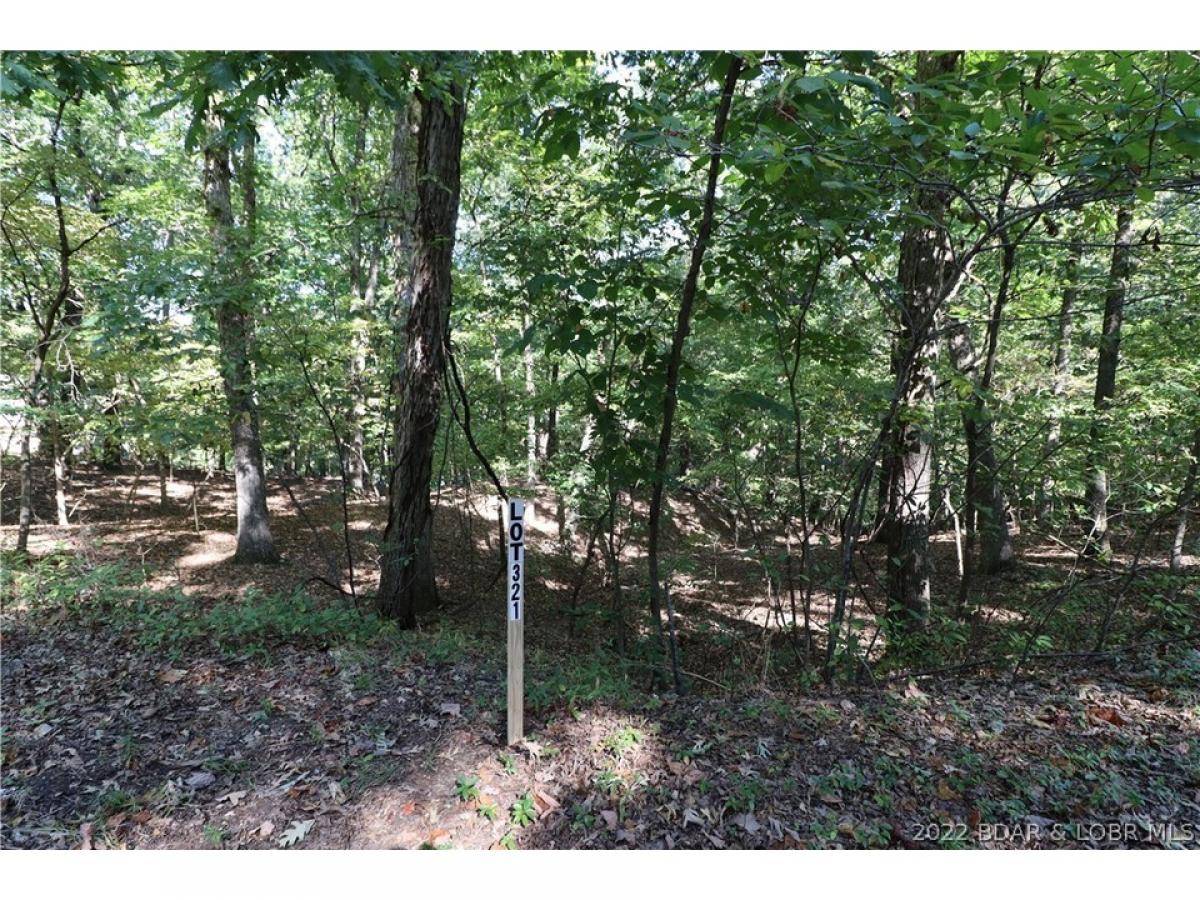 Picture of Residential Land For Sale in Porto Cima, Missouri, United States