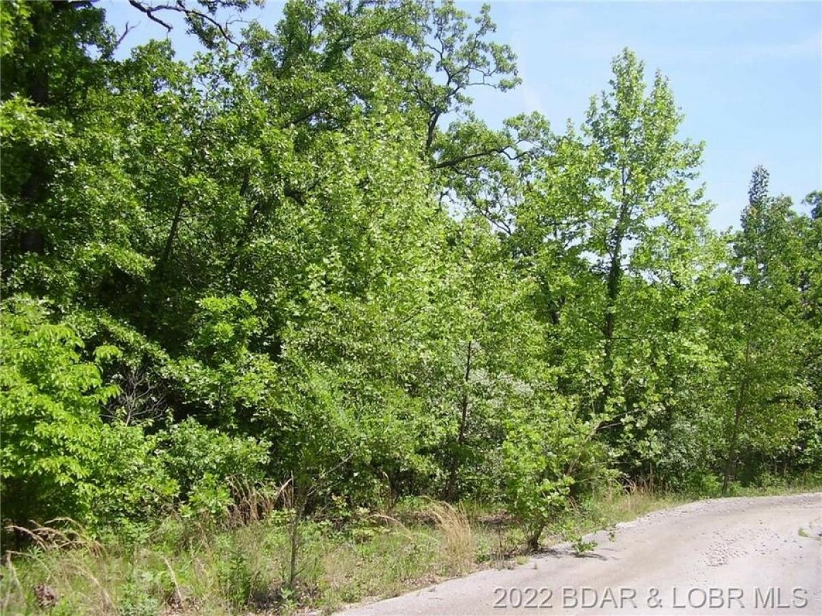 Picture of Residential Land For Sale in Camdenton, Missouri, United States