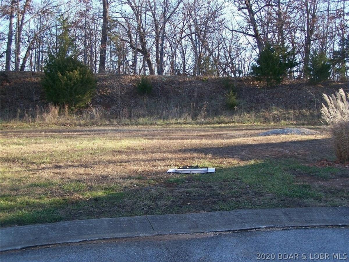 Picture of Residential Land For Sale in Gravois Mills, Missouri, United States