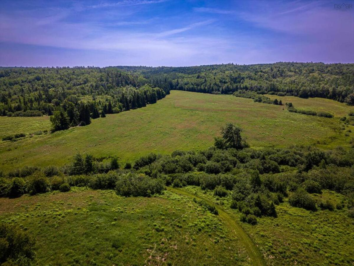 Picture of Residential Land For Sale in South Branch, Nova Scotia, Canada