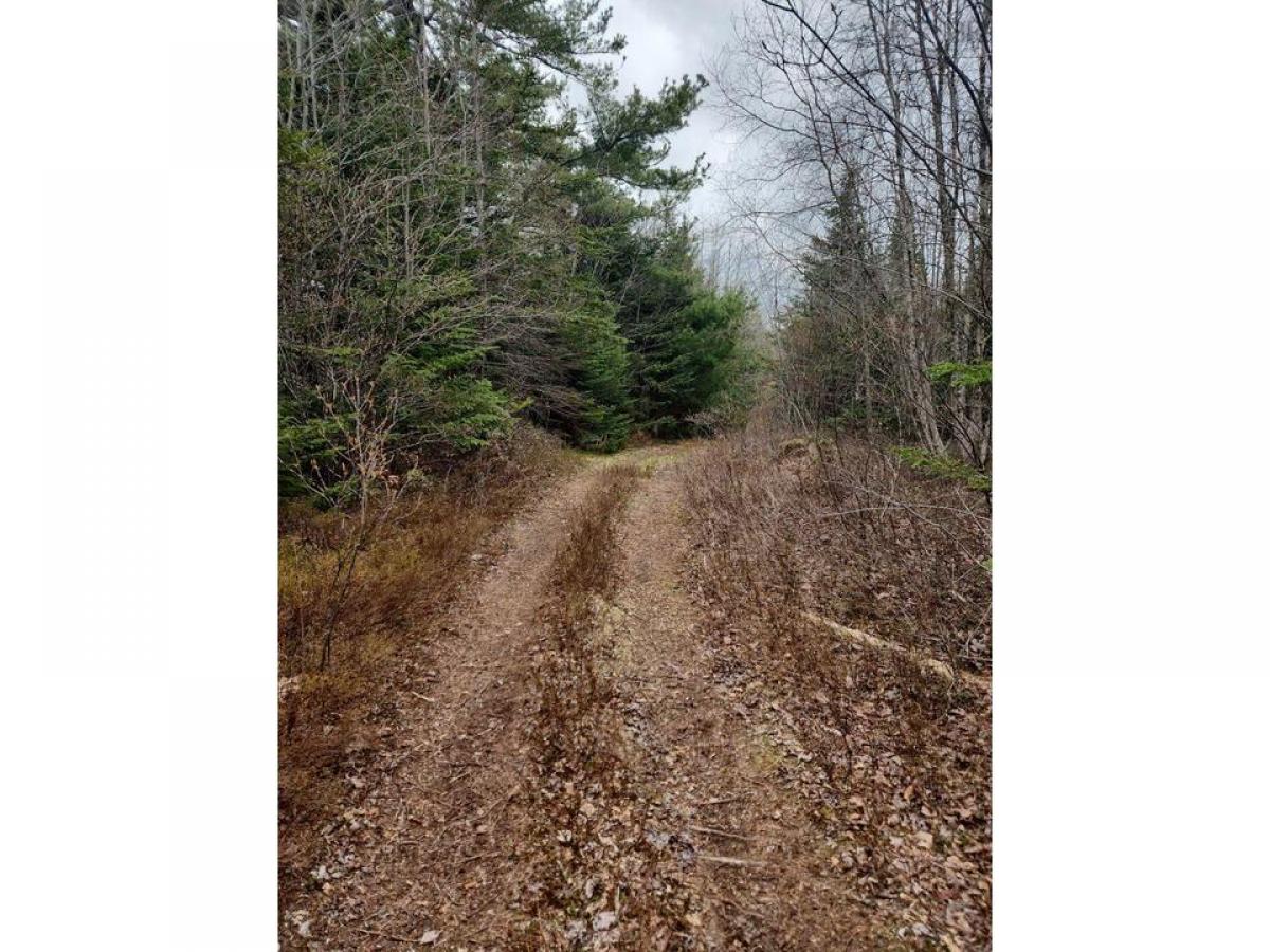 Picture of Residential Land For Sale in East Preston, Nova Scotia, Canada