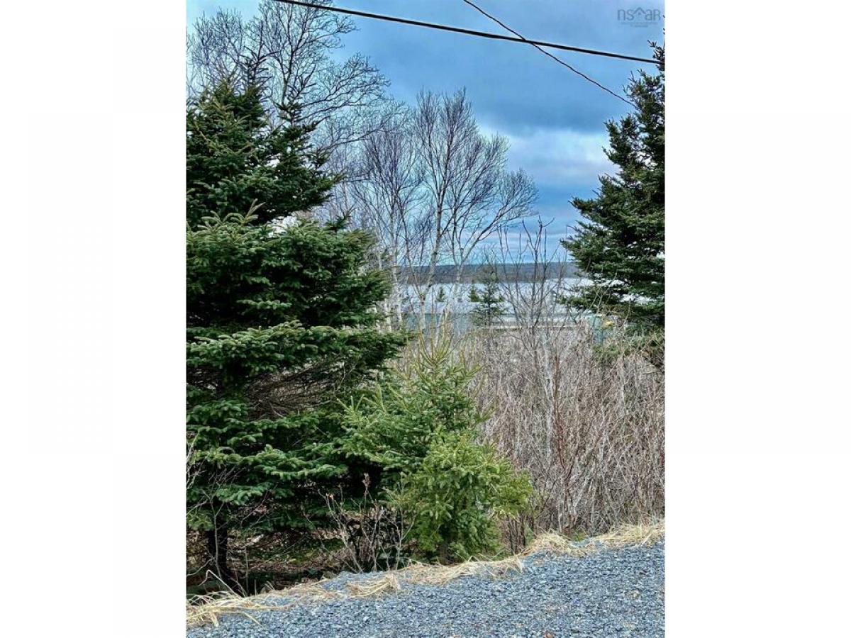 Picture of Residential Land For Sale in Ostrea Lake, Nova Scotia, Canada