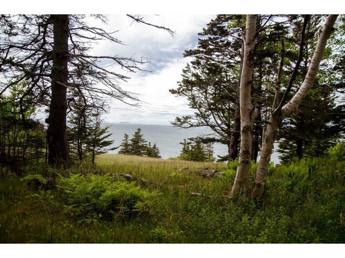 Picture of Residential Land For Sale in Centreville, Nova Scotia, Canada