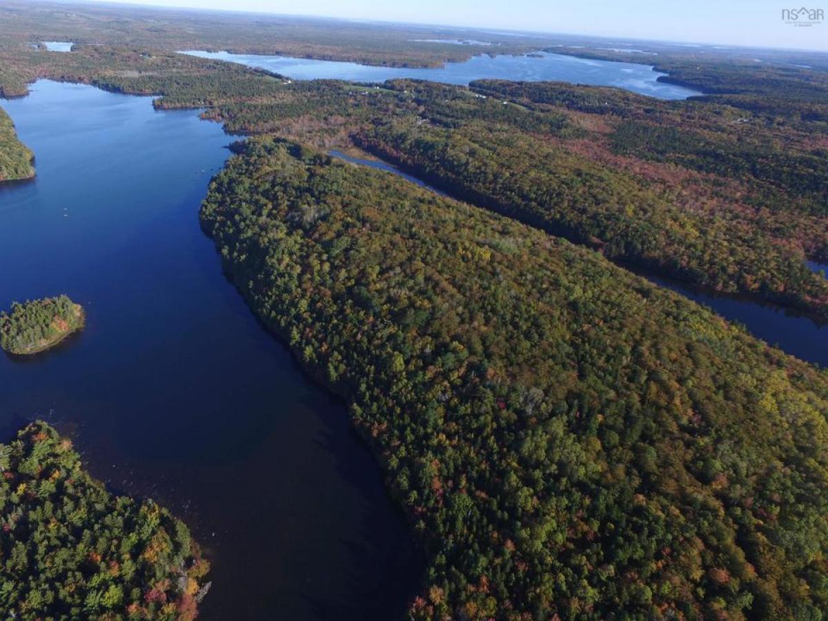 Picture of Residential Land For Sale in Camperdown, Nova Scotia, Canada