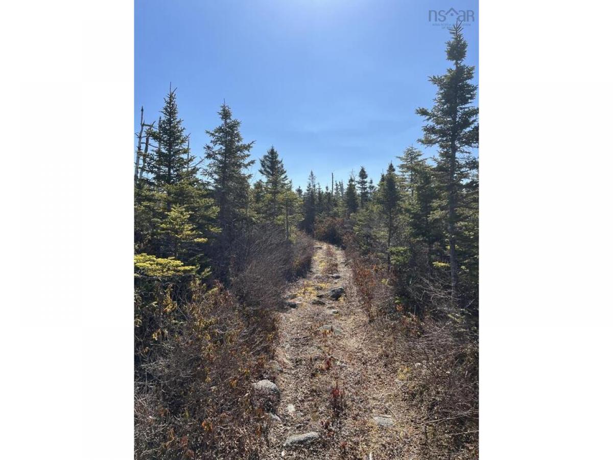 Picture of Residential Land For Sale in Bald Rock, Nova Scotia, Canada