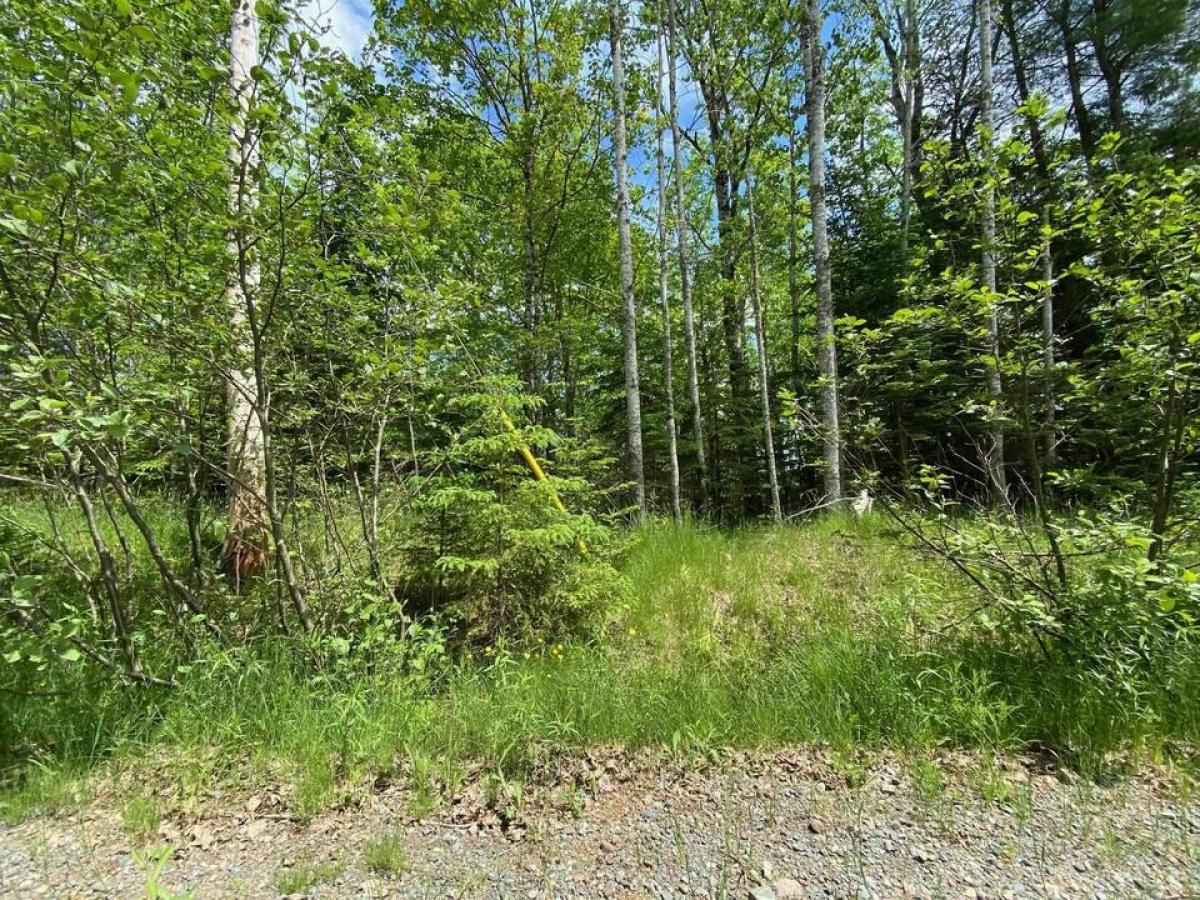 Picture of Residential Land For Sale in Lake Egmont, Nova Scotia, Canada